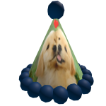 Bigbeast’s Birthday Hat