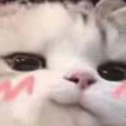 Sayu's Events
