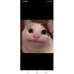 Hoi let's play adopt me