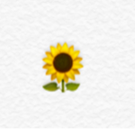 *The Sun Flowers*