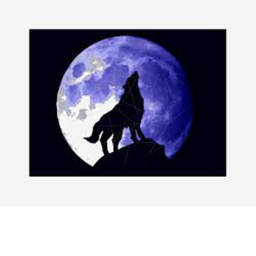 wolf rp