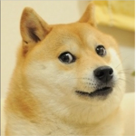 Doge Fan Group/Dog Fans
