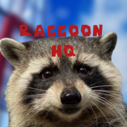 Raccoon HQ