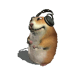 Groovik