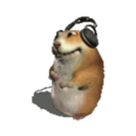 Groovik