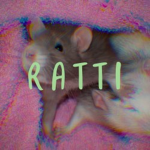 ratti