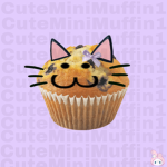 Muffin C4tt