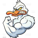 The Buff Ducks