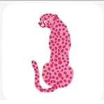 Cheetah girlz
