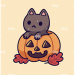 Cats_backk