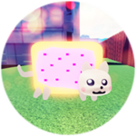 Nyan Launch