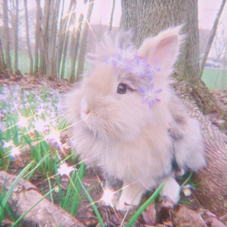 𝒸𝒶𝓁𝓁 𝓂𝑒