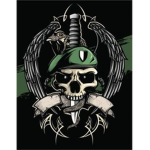 GRUPO DE INTERVENCION Y RESCATE "GIR"