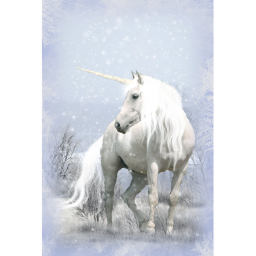 Winter Unicorn 🦄🌈