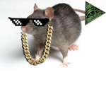 The MLG Rates