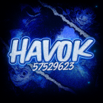 法 HAVOK