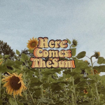 +*~Honey Halos~*+