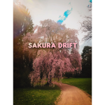 Sakura drift