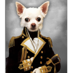 Doge Supreme Agency