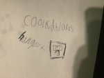 Coolkidblake09's hangout