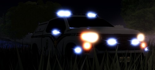 ( CADET TOOLS! 👮) Bear County