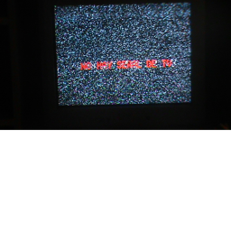 The World Is Ending