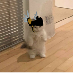 V3nom Apparel