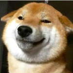 dog noob fbi