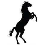 Official Mustang Clothing ®
