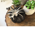 Halloween amie