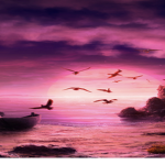 Sunsets<3.