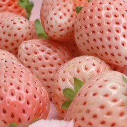⋆｡‧˚ʚ🍓ɞ˚‧｡⋆