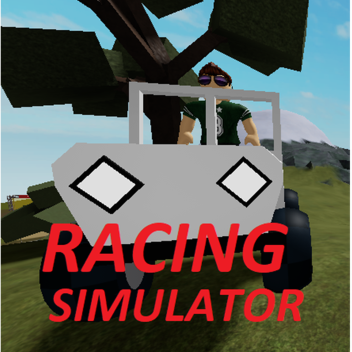 Racing Simulator