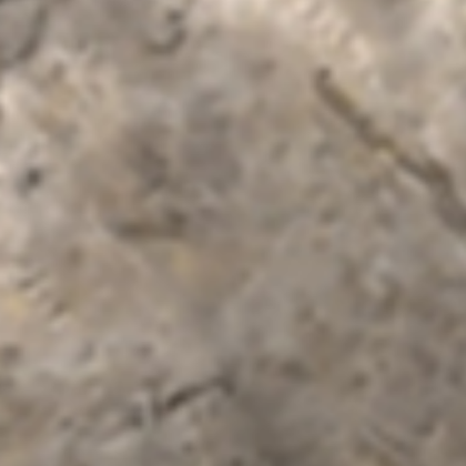 Bone Texture Roblox decal