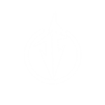 Distant Society Official merch group
