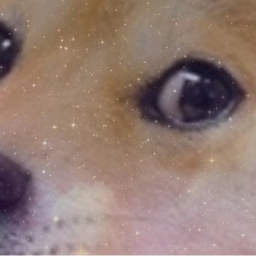 👻 Space Doge