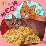 Cat queen group’s