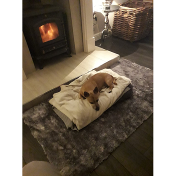 have a family and live happily