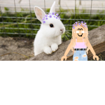KatieRxbbit
