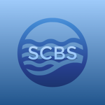 남해안 버스 시뮬레이터 / South Coast Bus Simulator