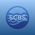남해안 버스 시뮬레이터 / South Coast Bus Simulator Group Thumbnail