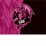 Leo's Awesome Group!