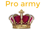 (Pro's)