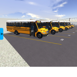 BIRNIE BUS SERVICE, INC.