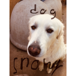 Dogisyourcute