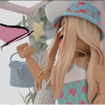 MacaronRBLX Fan Base