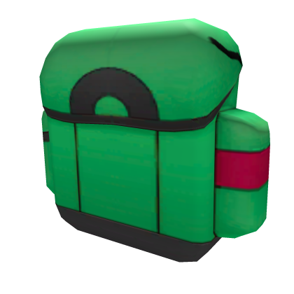 Green Trainer Bag