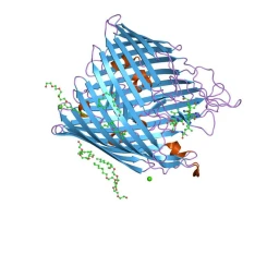 Protein - Work icon