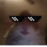 JoeEli