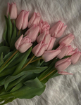 Ebti”s flowers